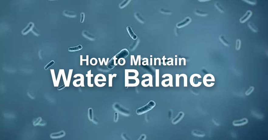 1.2 Den ultimata guiden om hur man upprätthåller vattenbalansen
