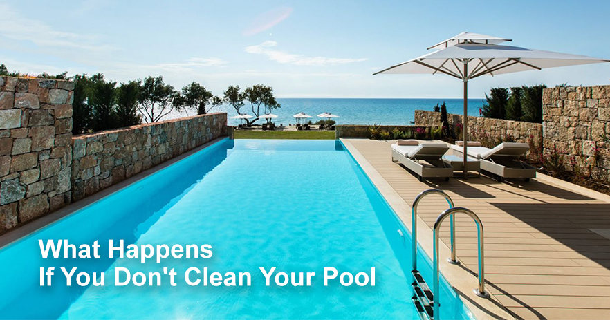 2.28 What Happens If You Don't Clean Your Pool