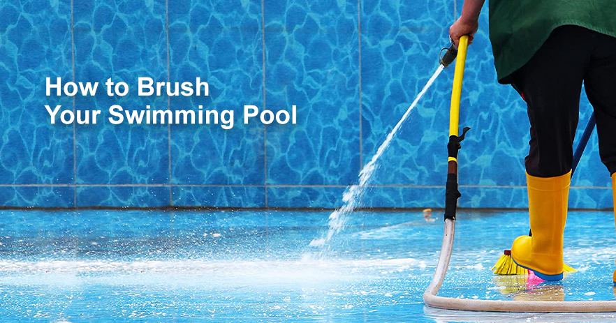3.8 How to Brush Your Swimming Pool